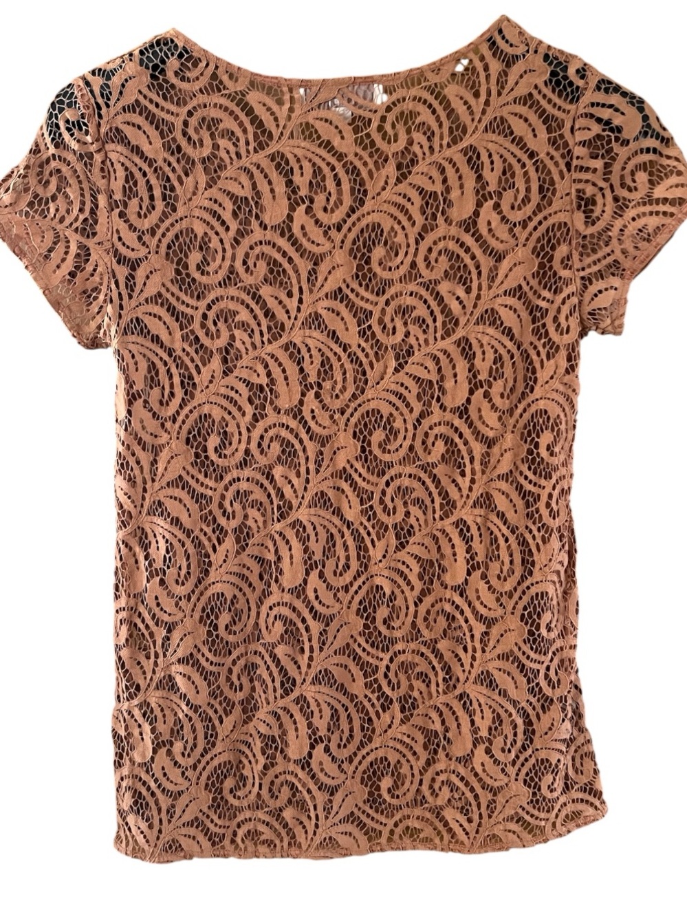 LOFT Short Sleeve Lace Tee Shirt in Copper Rust Color See-Through Small - Picture 2 of 7